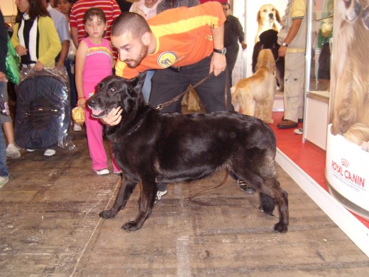 Vaga y yo en ExpoCan 2009